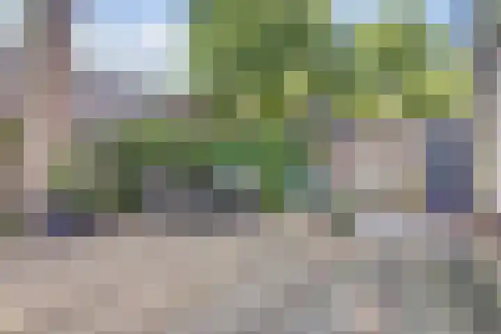 Naaldhof 10 Nunspeet thumbnail 25
