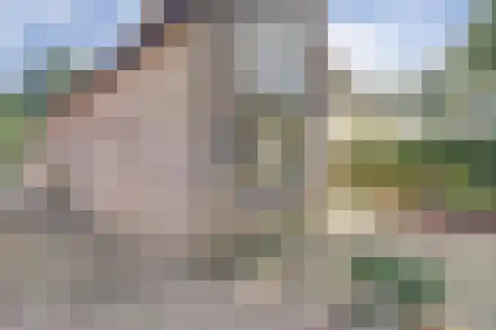 Naaldhof 10 Nunspeet thumbnail 26