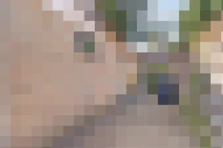 Naaldhof 10 Nunspeet thumbnail 28