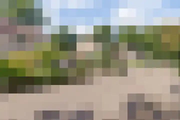 Naaldhof 10 Nunspeet thumbnail 30