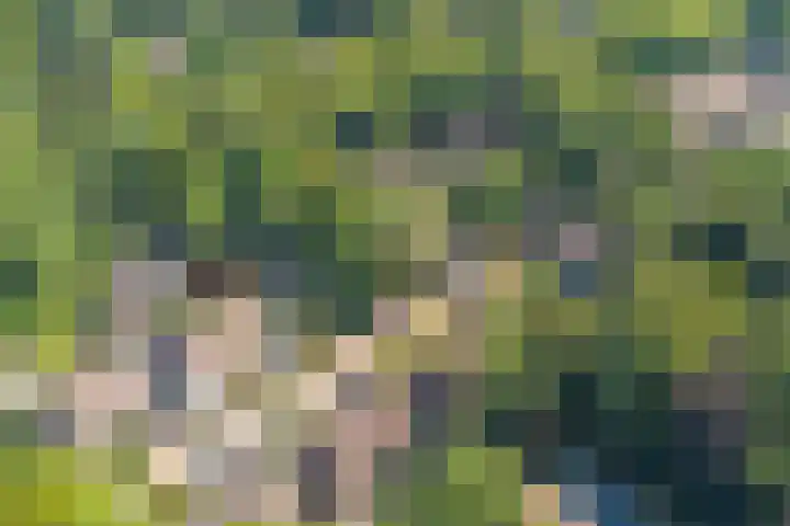 Naaldhof 10 Nunspeet thumbnail 31