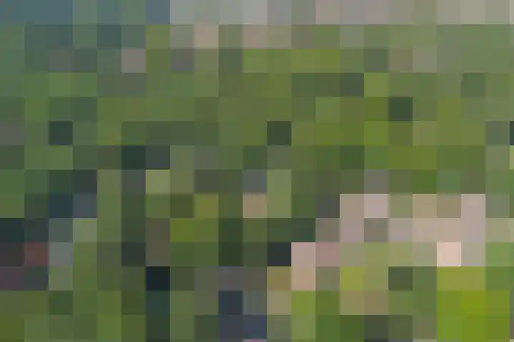 Naaldhof 10 Nunspeet thumbnail 32