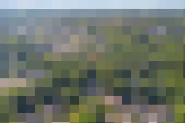 Naaldhof 10 Nunspeet thumbnail 33