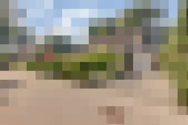 Naaldhof 10 Nunspeet thumbnail 34