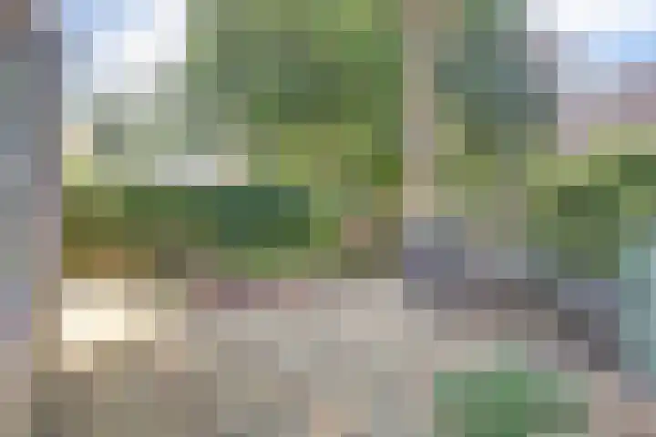 Naaldhof 10 Nunspeet thumbnail 5