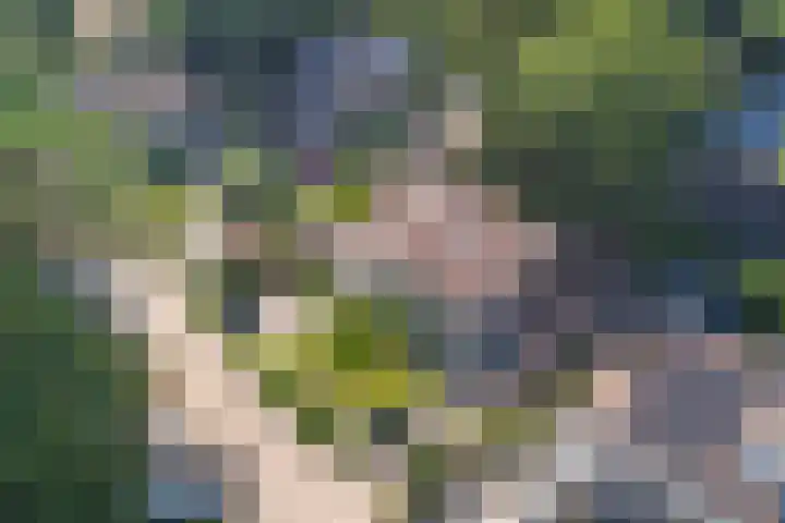 Naaldhof 10 Nunspeet thumbnail 6
