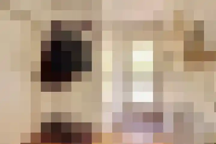Naaldhof 10 Nunspeet thumbnail 7