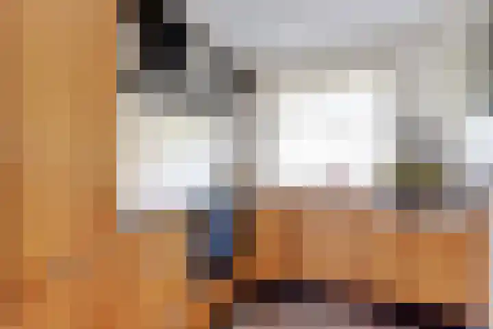 Naaldvaren 12 Bergschenhoek thumbnail 11