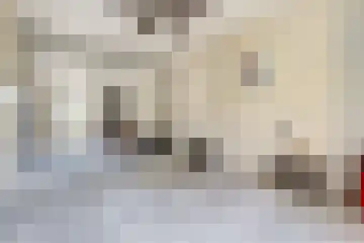 Naaldvaren 12 Bergschenhoek thumbnail 13