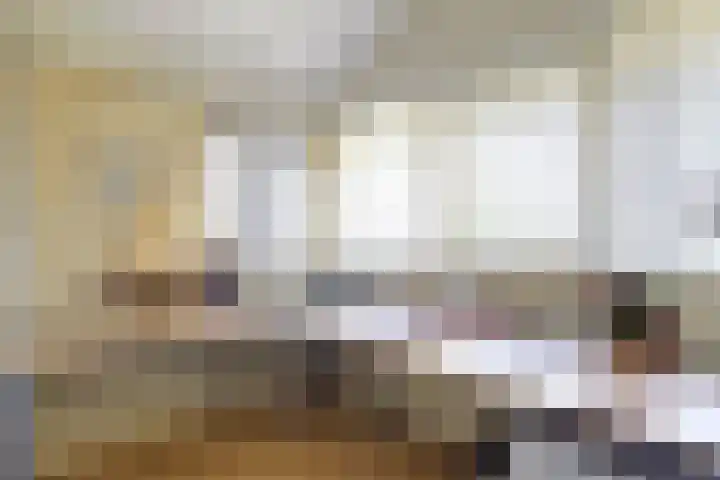 Naaldvaren 12 Bergschenhoek thumbnail 17
