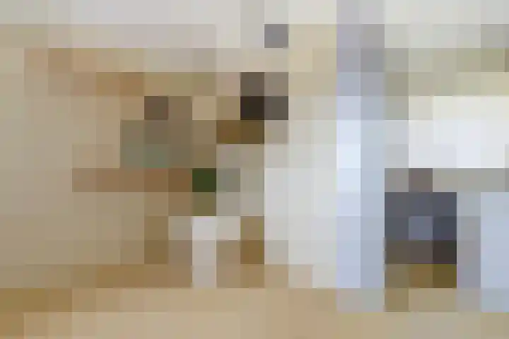 Naaldvaren 12 Bergschenhoek thumbnail 18