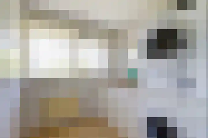 Naaldvaren 12 Bergschenhoek thumbnail 19