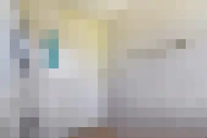 Naaldvaren 12 Bergschenhoek thumbnail 20