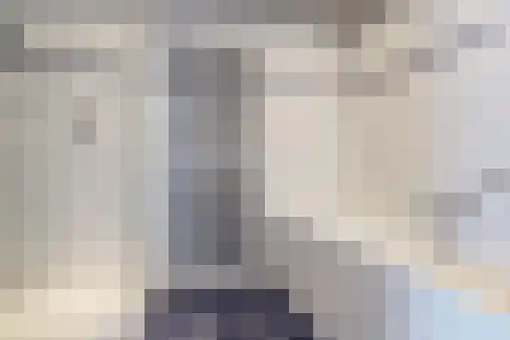 Naaldvaren 12 Bergschenhoek thumbnail 21