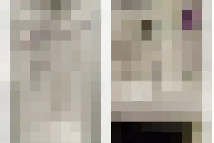 Naaldvaren 12 Bergschenhoek thumbnail 24