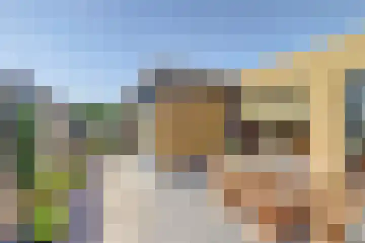 Naaldvaren 12 Bergschenhoek thumbnail 25