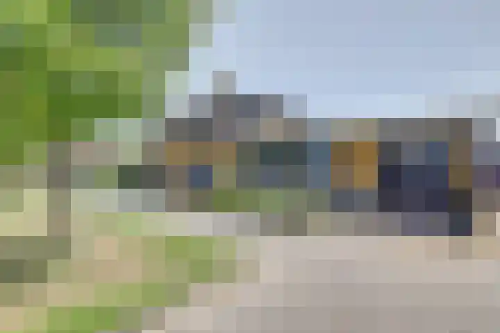 Naaldvaren 12 Bergschenhoek thumbnail 4