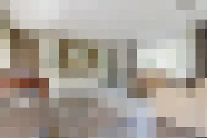 Naaldvaren 12 Bergschenhoek thumbnail 6