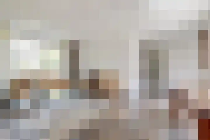 Naaldvaren 12 Bergschenhoek thumbnail 7