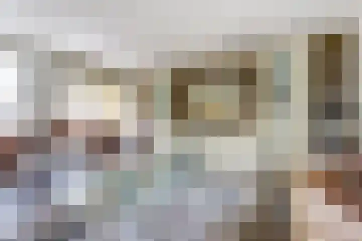 Naaldvaren 12 Bergschenhoek thumbnail 9