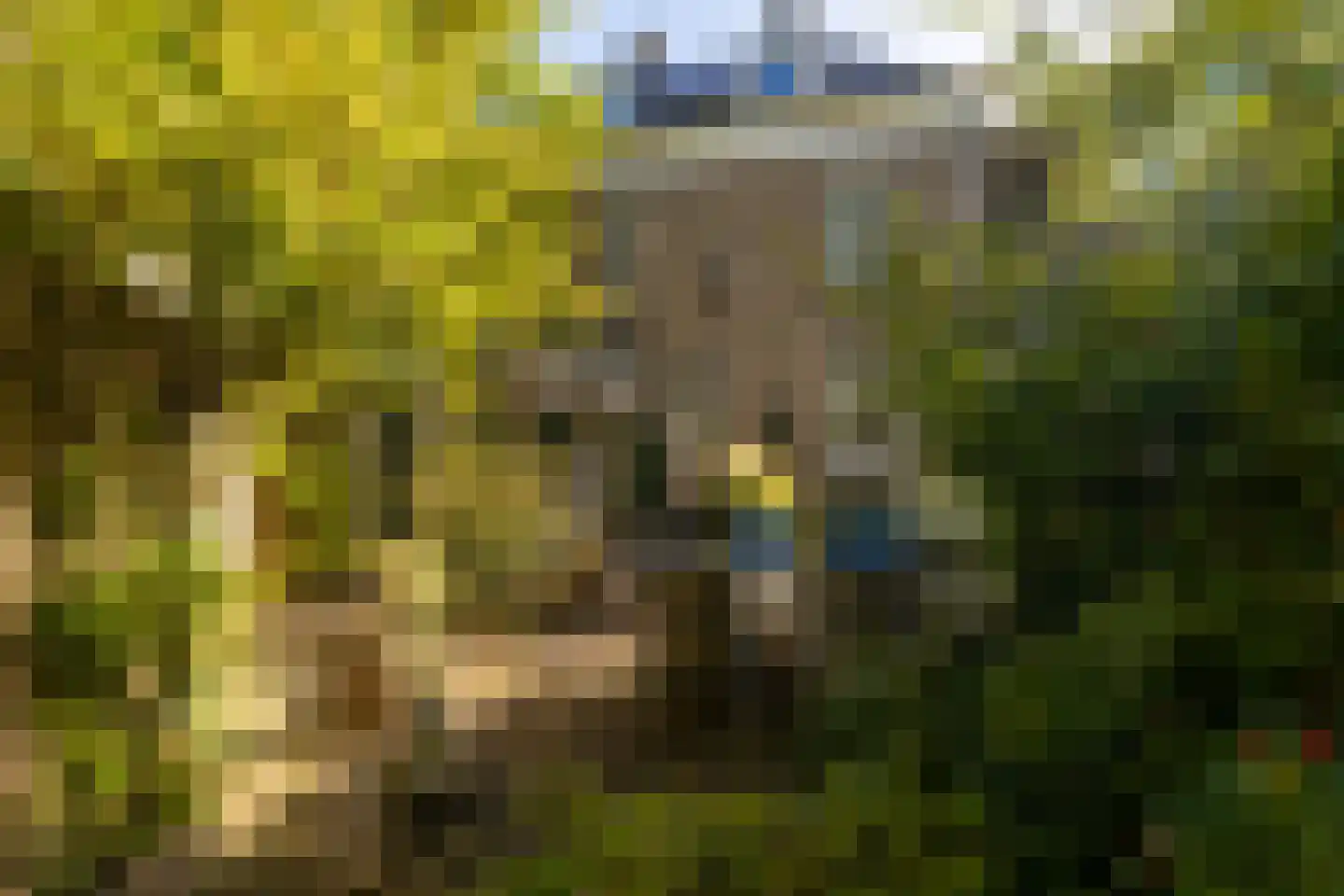 Naaldwijkseweg 103 's-Gravenzande thumbnail 4