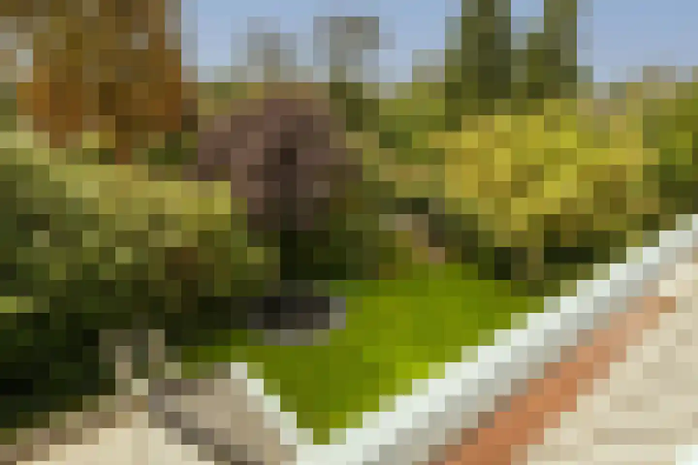 Naaldwijkseweg 103 's-Gravenzande thumbnail 47