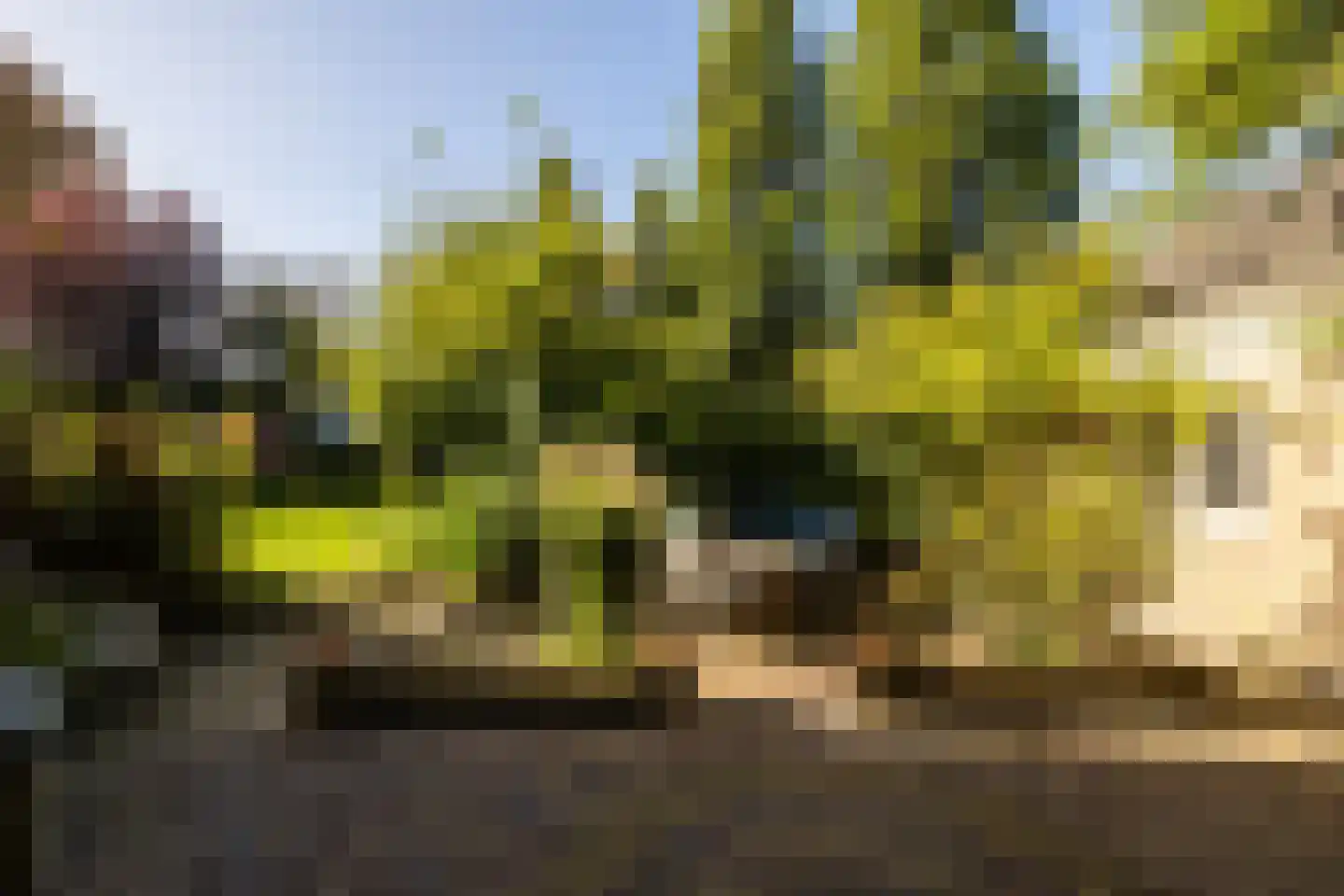 Naaldwijkseweg 103 's-Gravenzande thumbnail 48