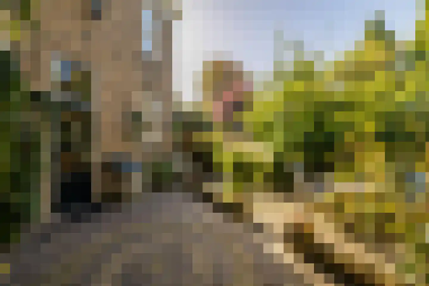 Naaldwijkseweg 103 's-Gravenzande thumbnail 49