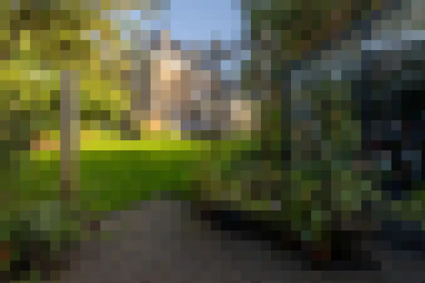 Naaldwijkseweg 103 's-Gravenzande thumbnail 5