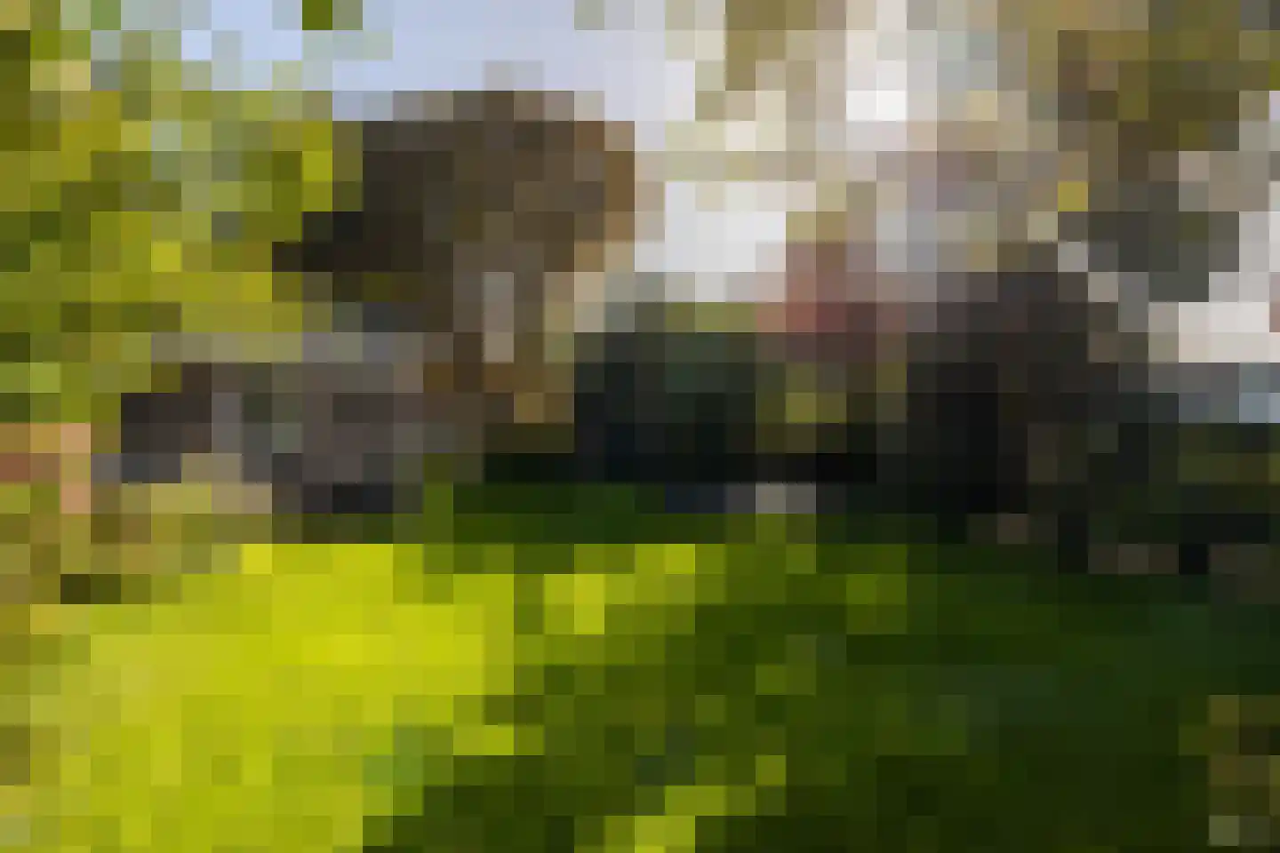 Naaldwijkseweg 103 's-Gravenzande thumbnail 50