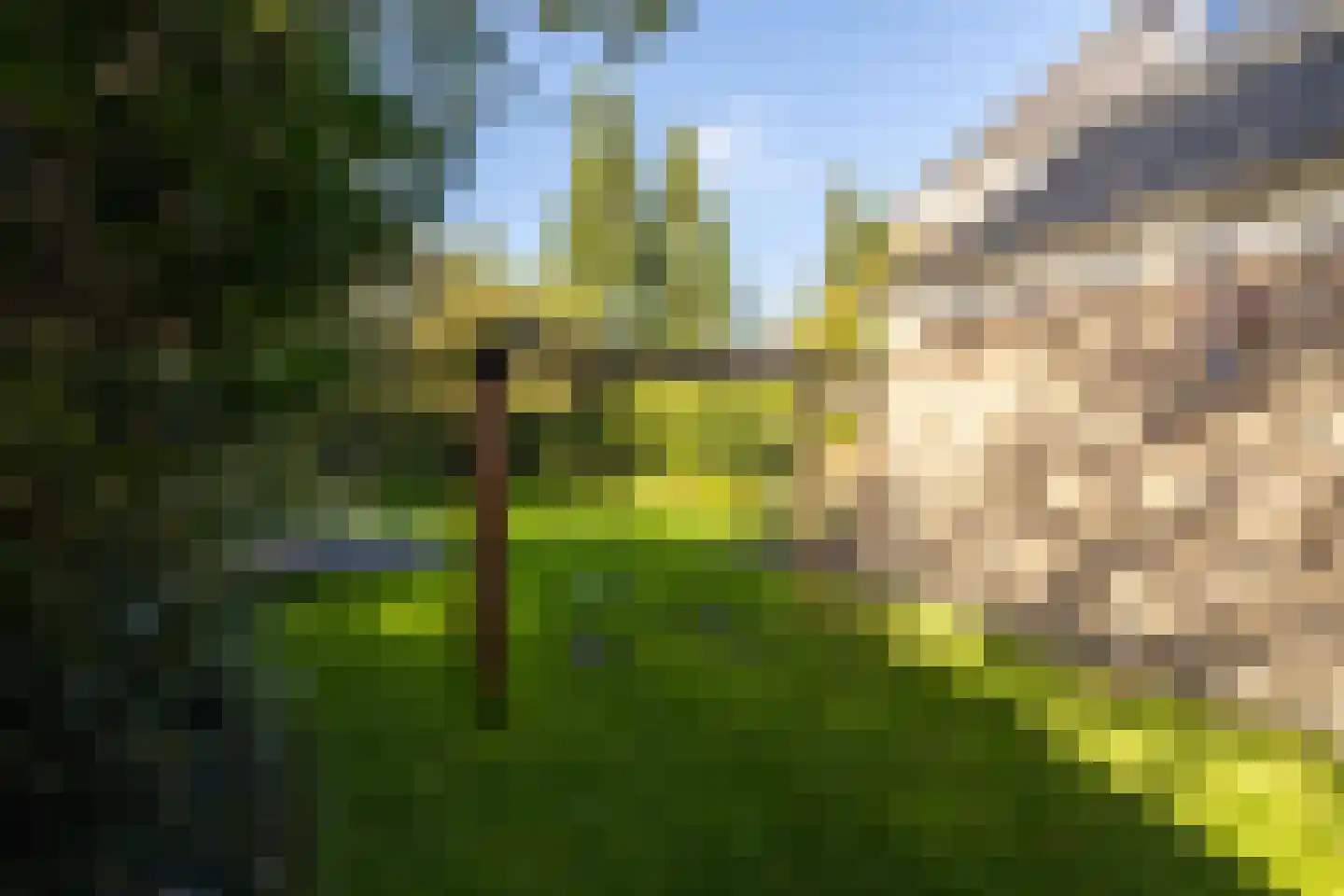 Naaldwijkseweg 103 's-Gravenzande thumbnail 52