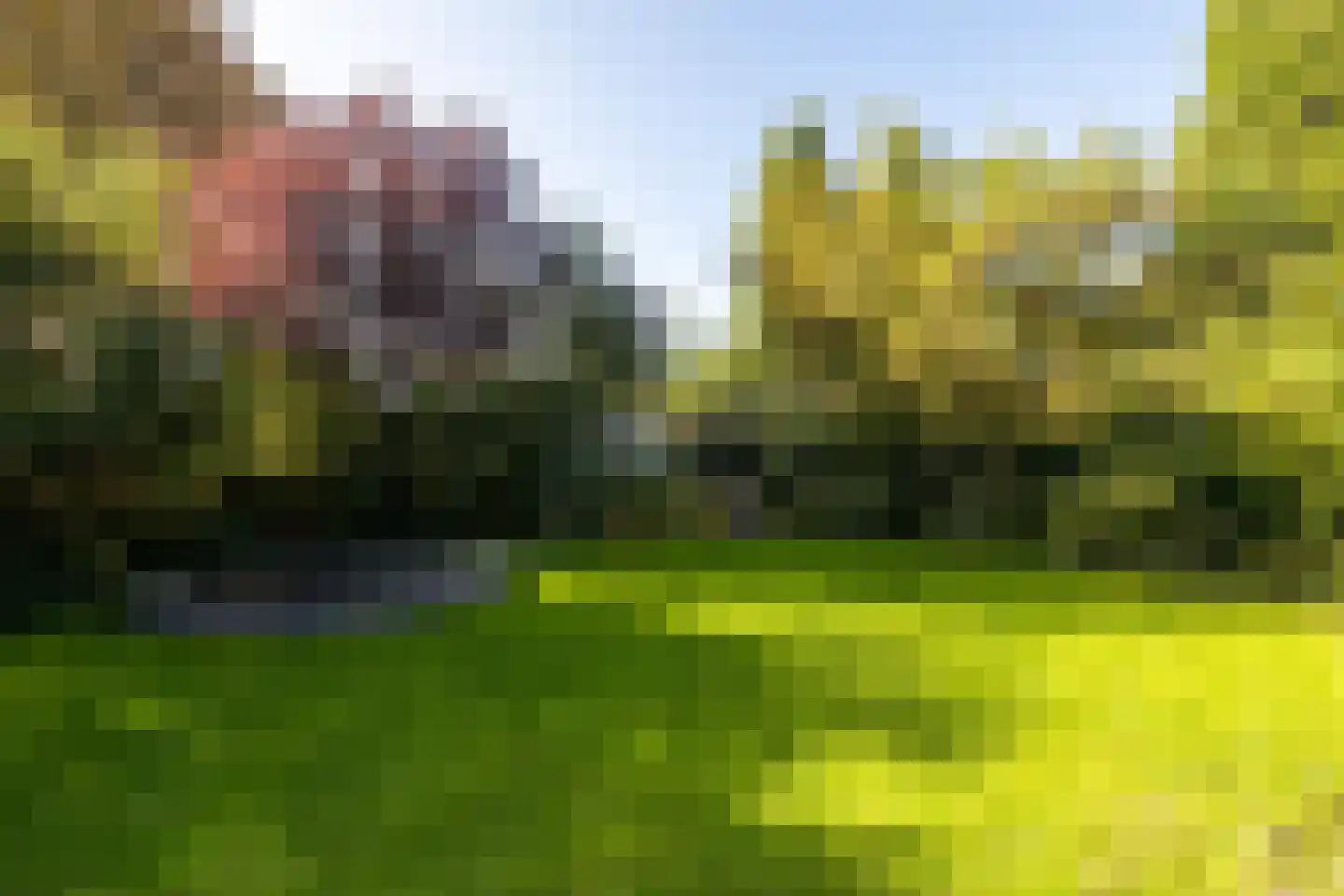 Naaldwijkseweg 103 's-Gravenzande thumbnail 53