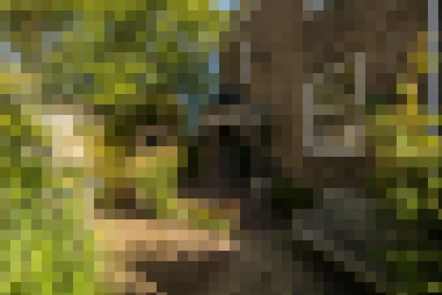 Naaldwijkseweg 103 's-Gravenzande thumbnail 55