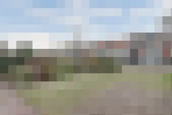Naaldwijkseweg 165 D 's-Gravenzande thumbnail 24