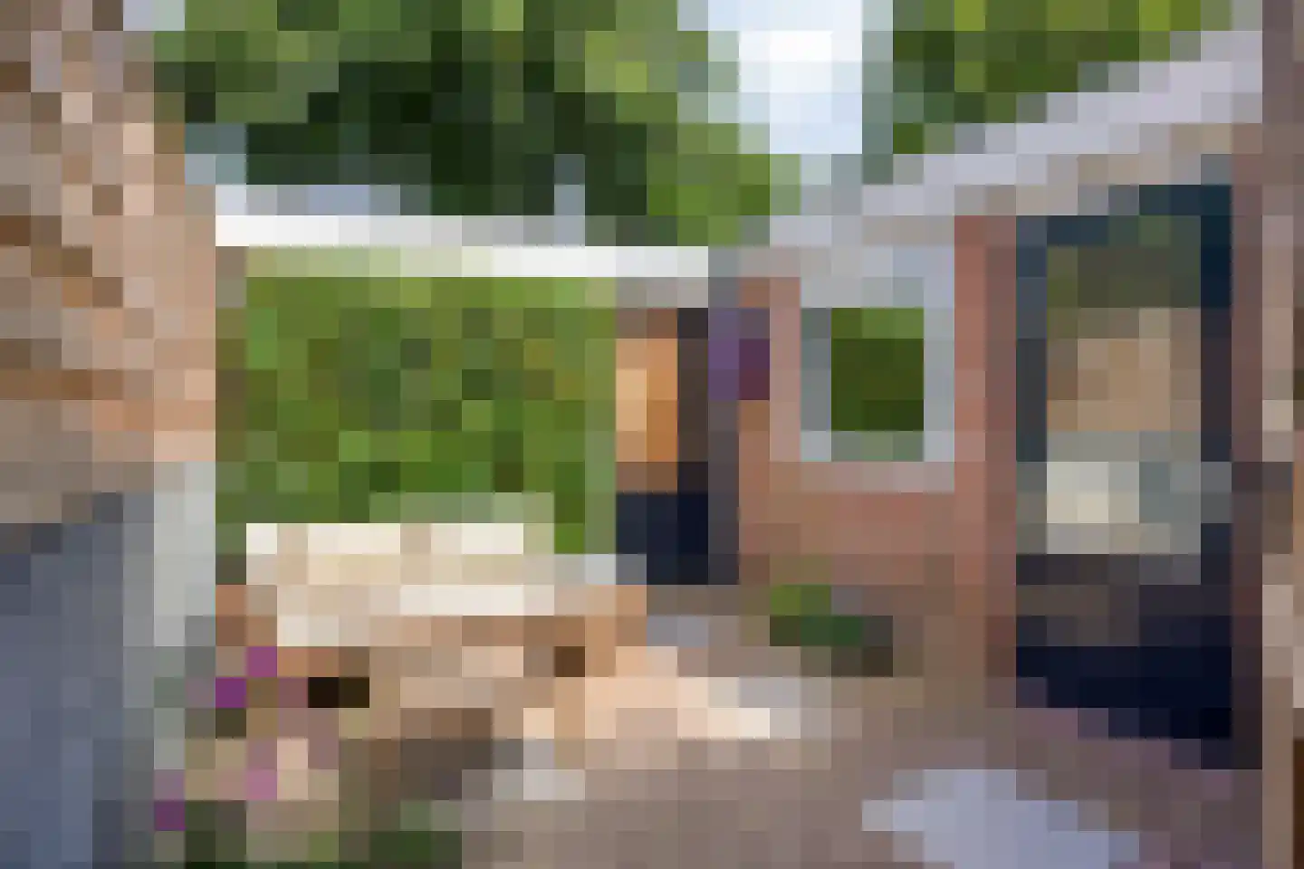Naaldwijkseweg 170 's-Gravenzande thumbnail 5