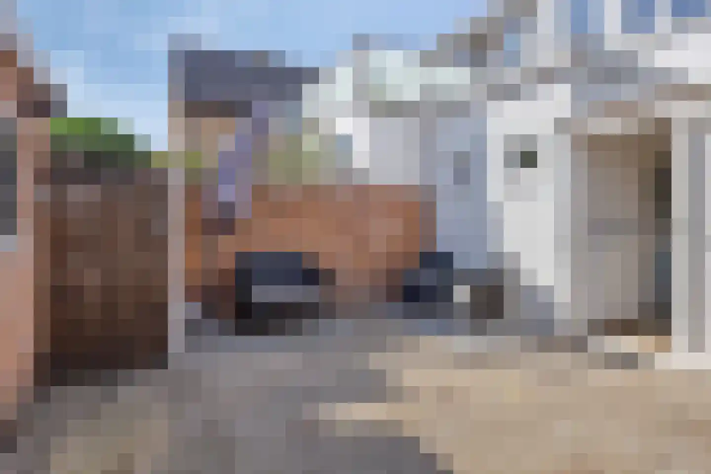 Naaldwijkseweg 177 's-Gravenzande thumbnail 29