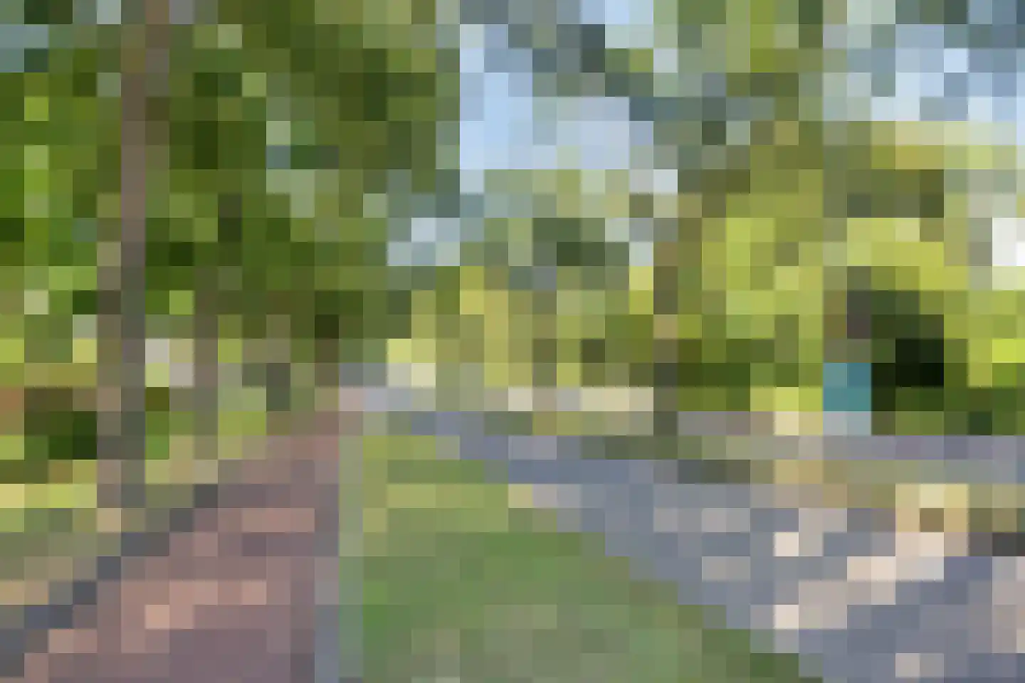 Naaldwijkseweg 177 's-Gravenzande thumbnail 36