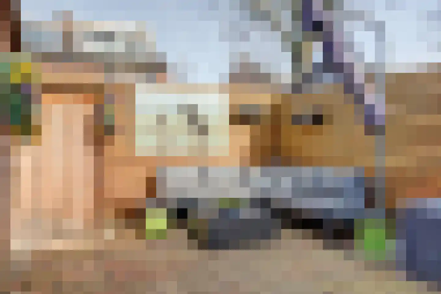 Naaldwijkseweg 182 's-Gravenzande thumbnail 31