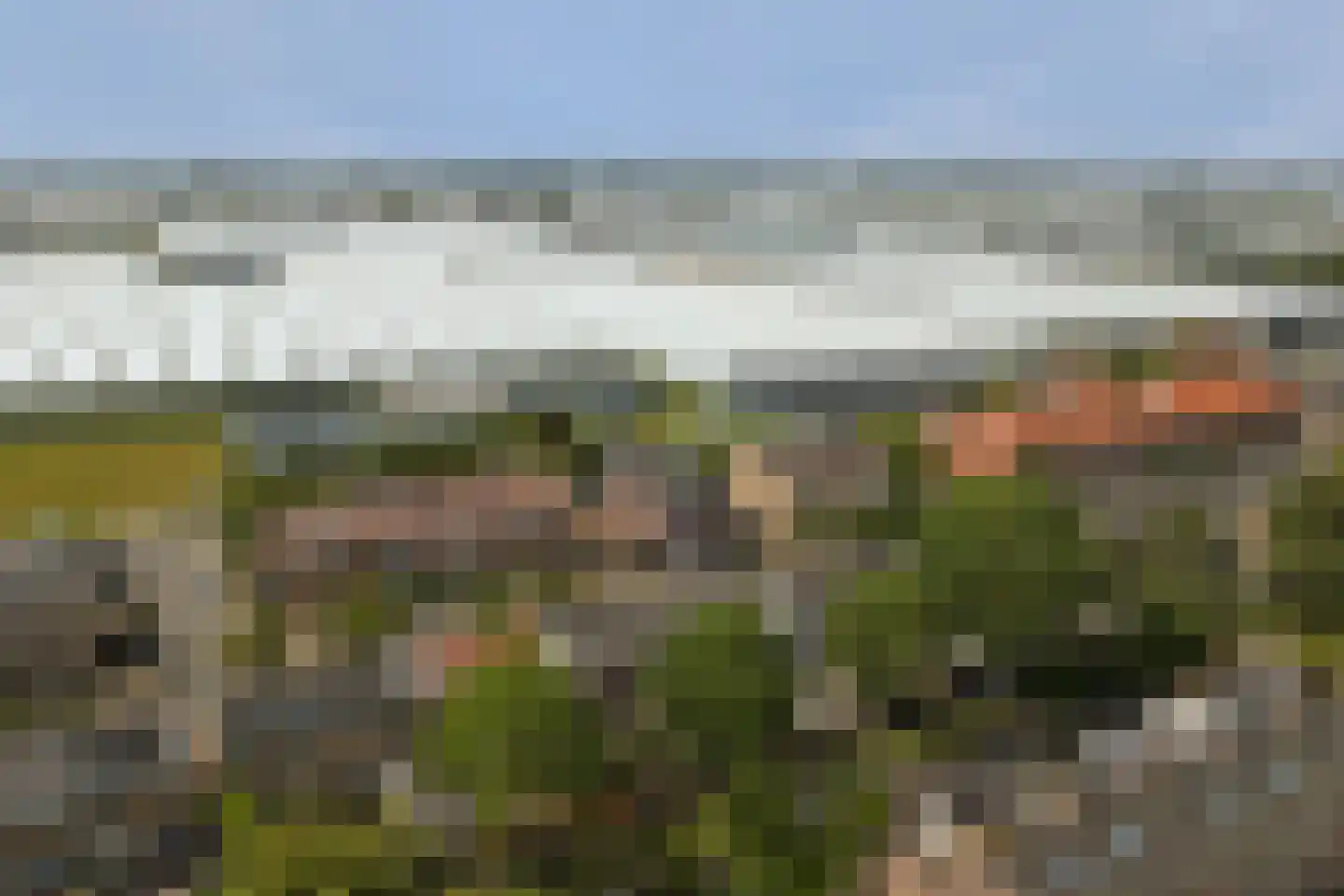 Naaldwijkseweg 184 's-Gravenzande thumbnail 33