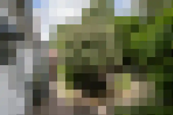 Naaldwijkseweg 186 's-Gravenzande thumbnail 16