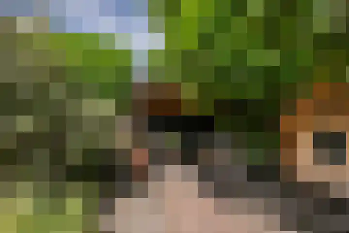 Naaldwijkseweg 186 's-Gravenzande thumbnail 18