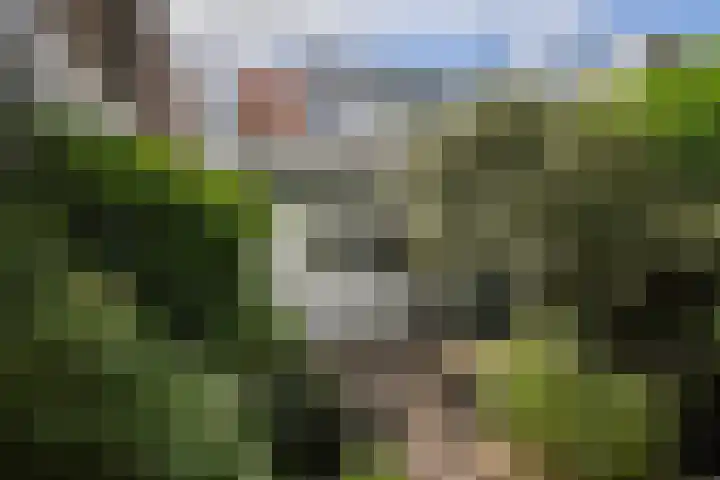 Naaldwijkseweg 186 's-Gravenzande thumbnail 20