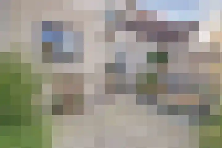 Naaldwijkseweg 222 's-Gravenzande thumbnail 24