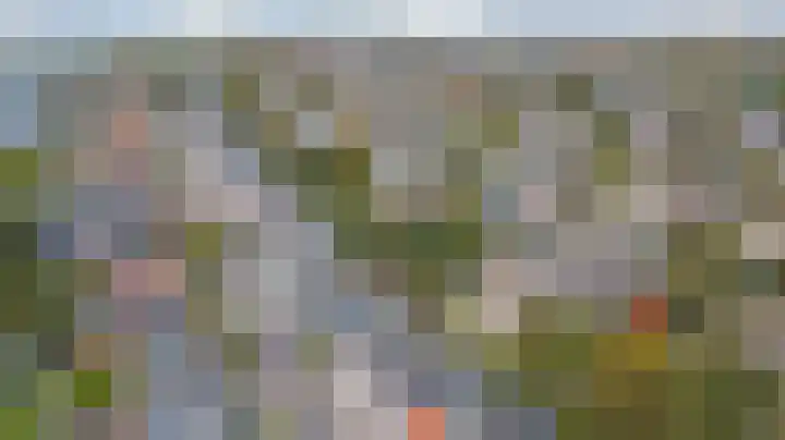 Naaldwijkseweg 222 's-Gravenzande thumbnail 33