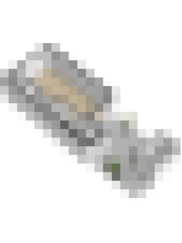 Naaldwijkseweg 222 's-Gravenzande thumbnail 44