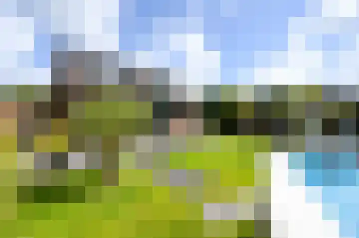Naaldwijkseweg 227 's-Gravenzande thumbnail 10