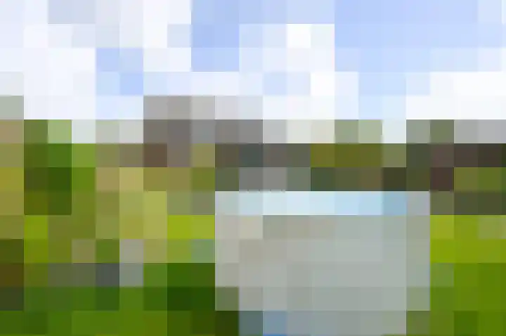 Naaldwijkseweg 227 's-Gravenzande thumbnail 12