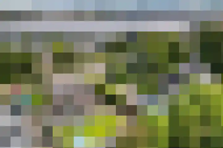 Naaldwijkseweg 227 's-Gravenzande thumbnail 32