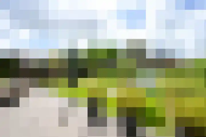 Naaldwijkseweg 227 's-Gravenzande thumbnail 34