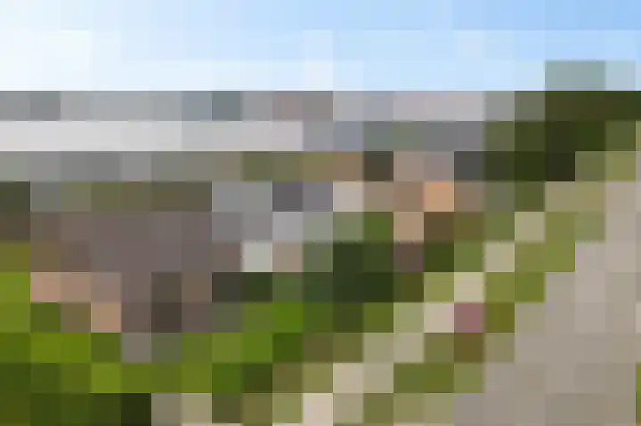 Naaldwijkseweg 227 's-Gravenzande thumbnail 44